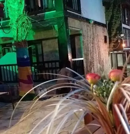 Отель Kaktues Boutique Сиде