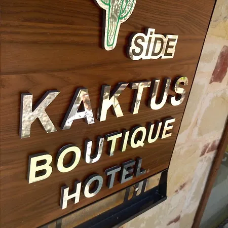 Kaktues Boutique Сиде