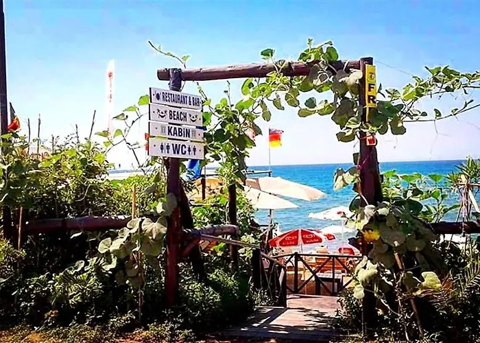 Kaktues Boutique * סייד