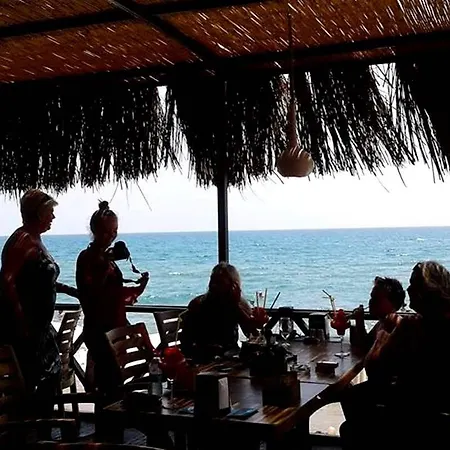 Kaktues Boutique 锡德