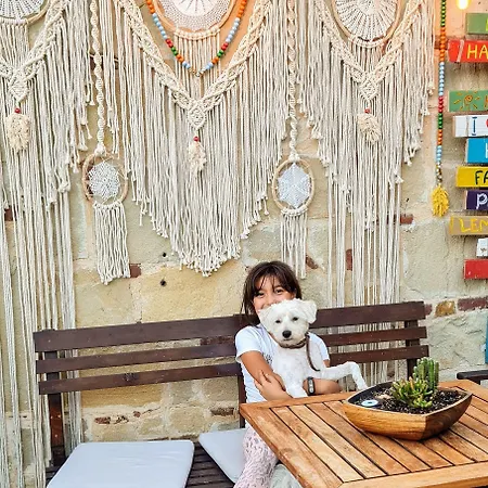 Kaktues Boutique 锡德