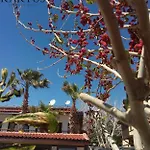 Ξενοδοχείο Kaktues Boutique
