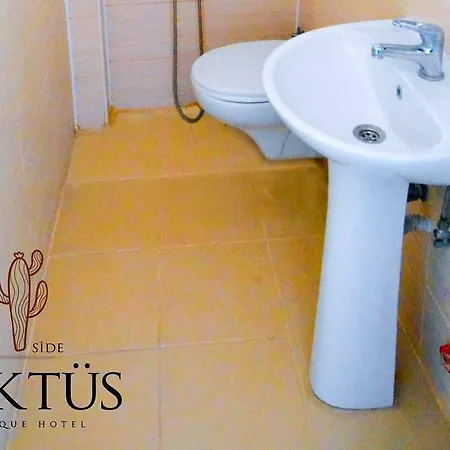 Kaktüs Boutique Side