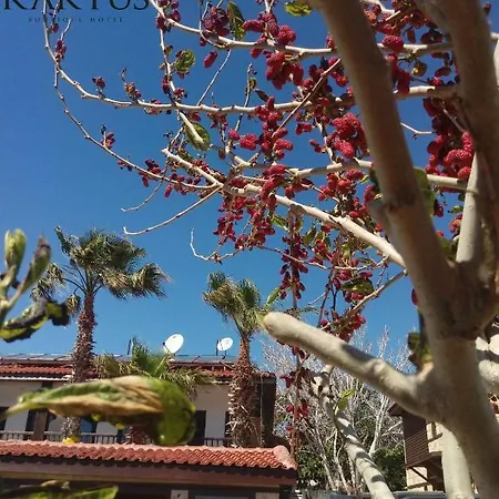 Hotel Kaktues Boutique