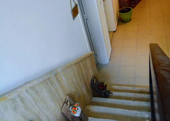 Kaktues Boutique Side