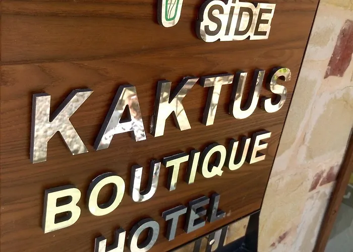 Kaktues Boutique Σιντέ