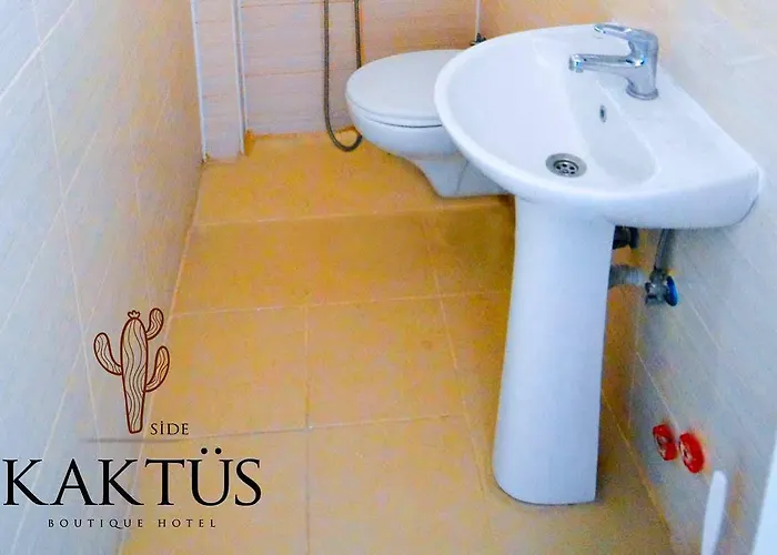 Kaktues Boutique Side