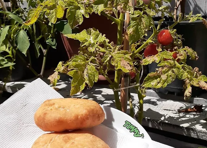 Kaktues Boutique * Side